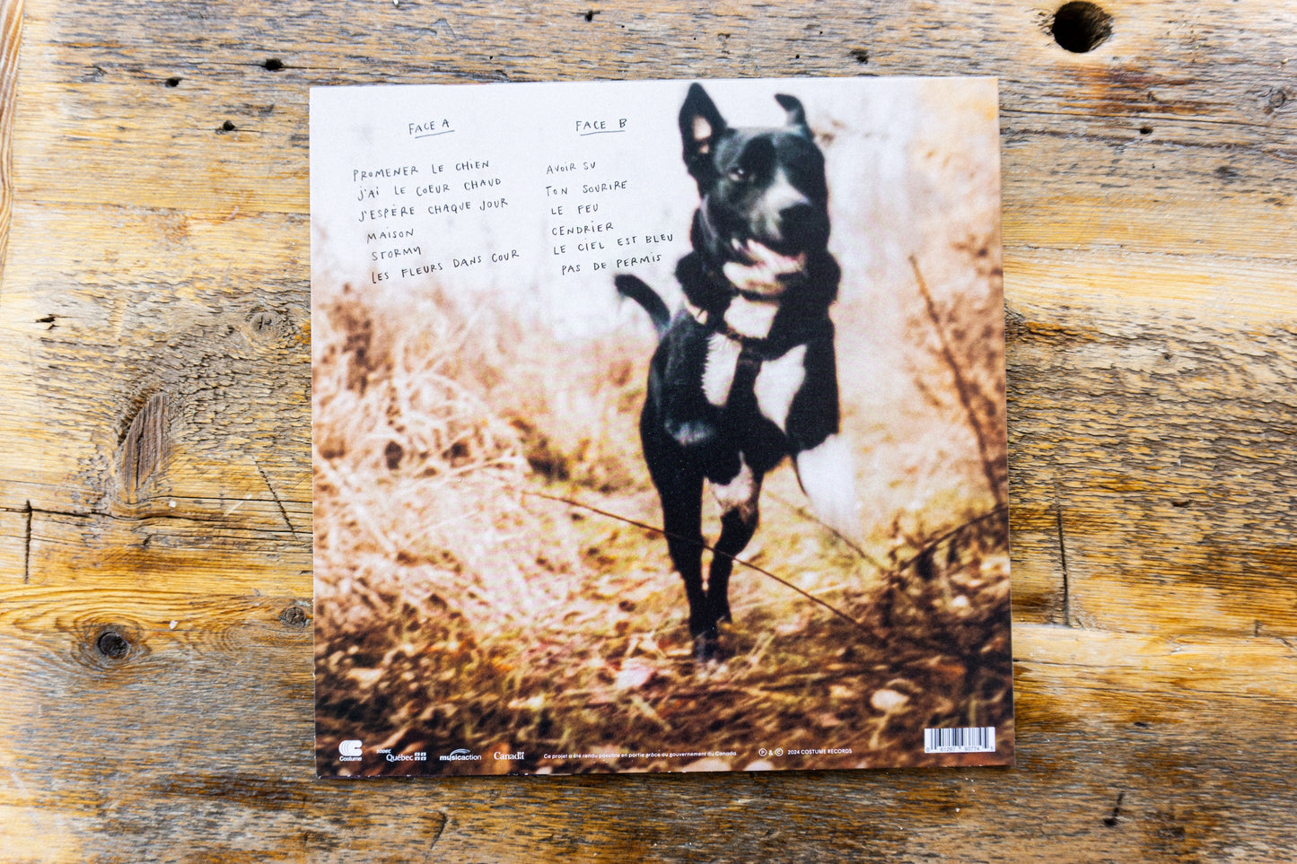 Dany Placard - Avoir Su (CD)