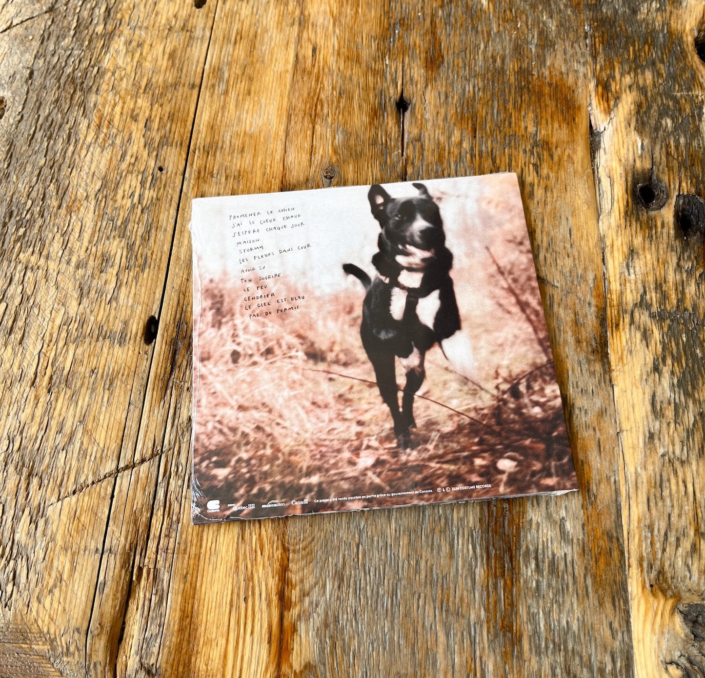 Dany Placard - Avoir Su (CD)