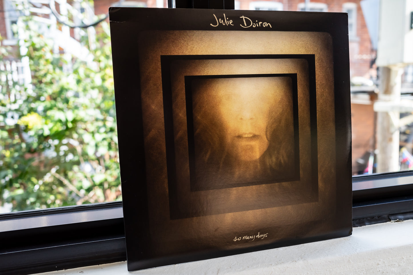 Julie Doiron - So Many Days (LP)