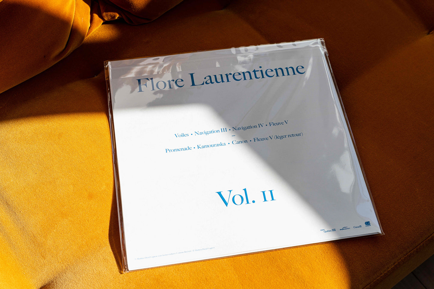 Flore Laurentienne - Volume II (LP)